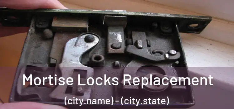 Mortise Locks Replacement (city.name) - (city.state)